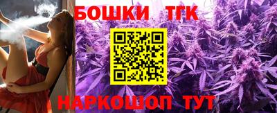 индика Рязань