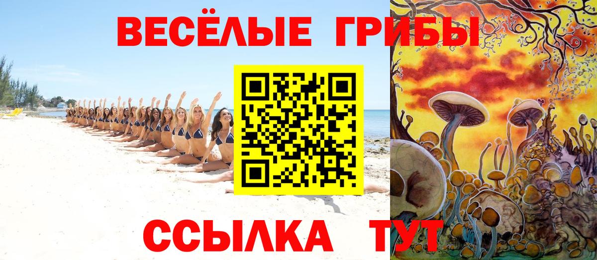 Галлюциногенные грибы мицелий  цена   Саров  Вход с VPN 